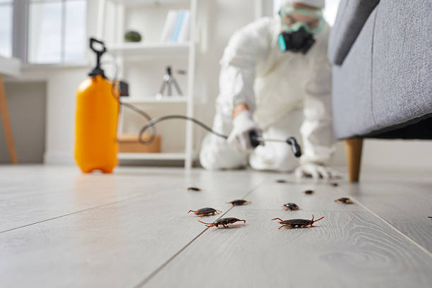 Trusted Rodent Control service in Allison Park, PA - Nex Pest Control