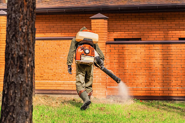 Trusted Ant Control service in Allison Park, PA - Nex Pest Control
